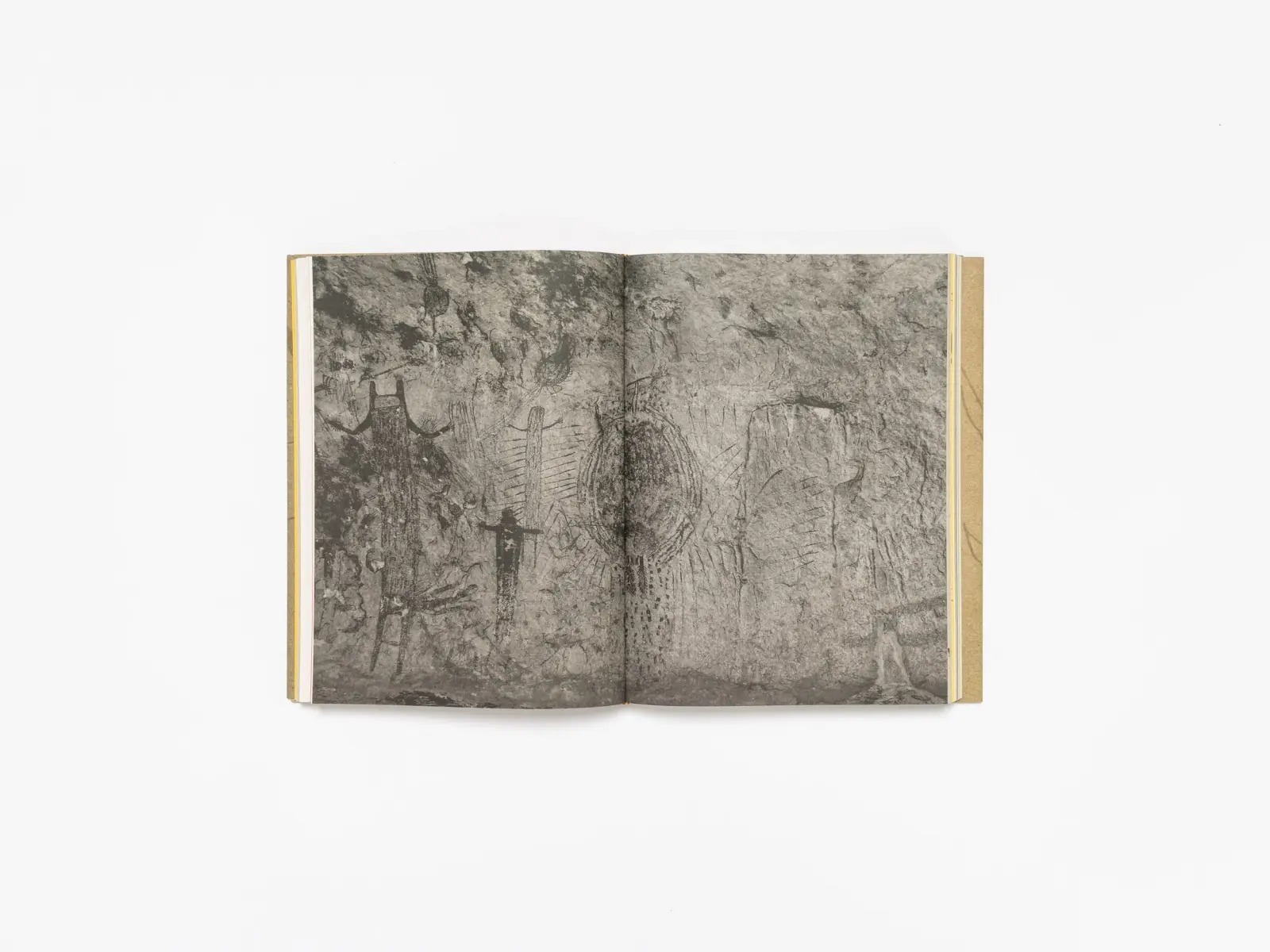 Deer Book/Libro Venado image 6