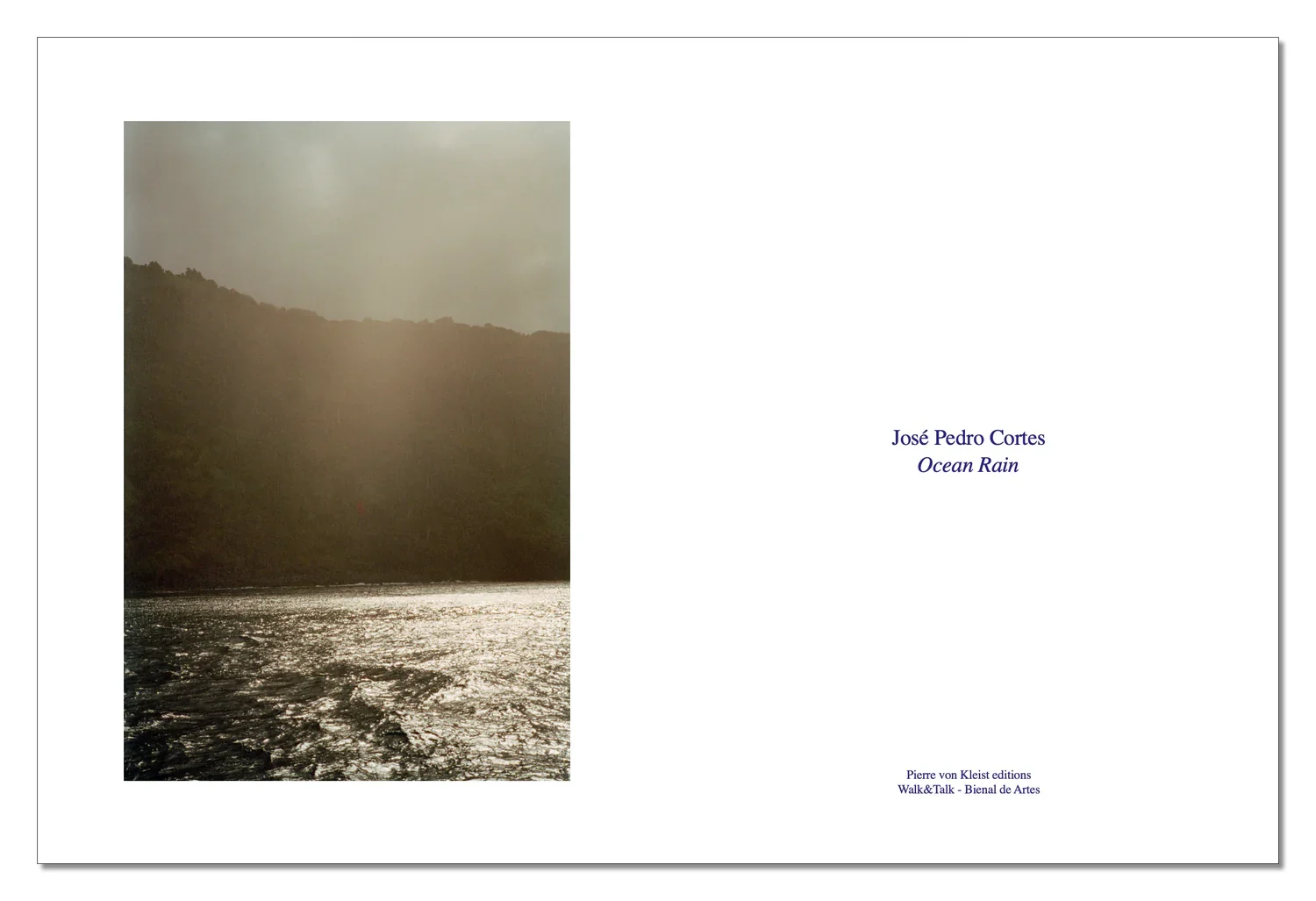 Ocean Rain image 2