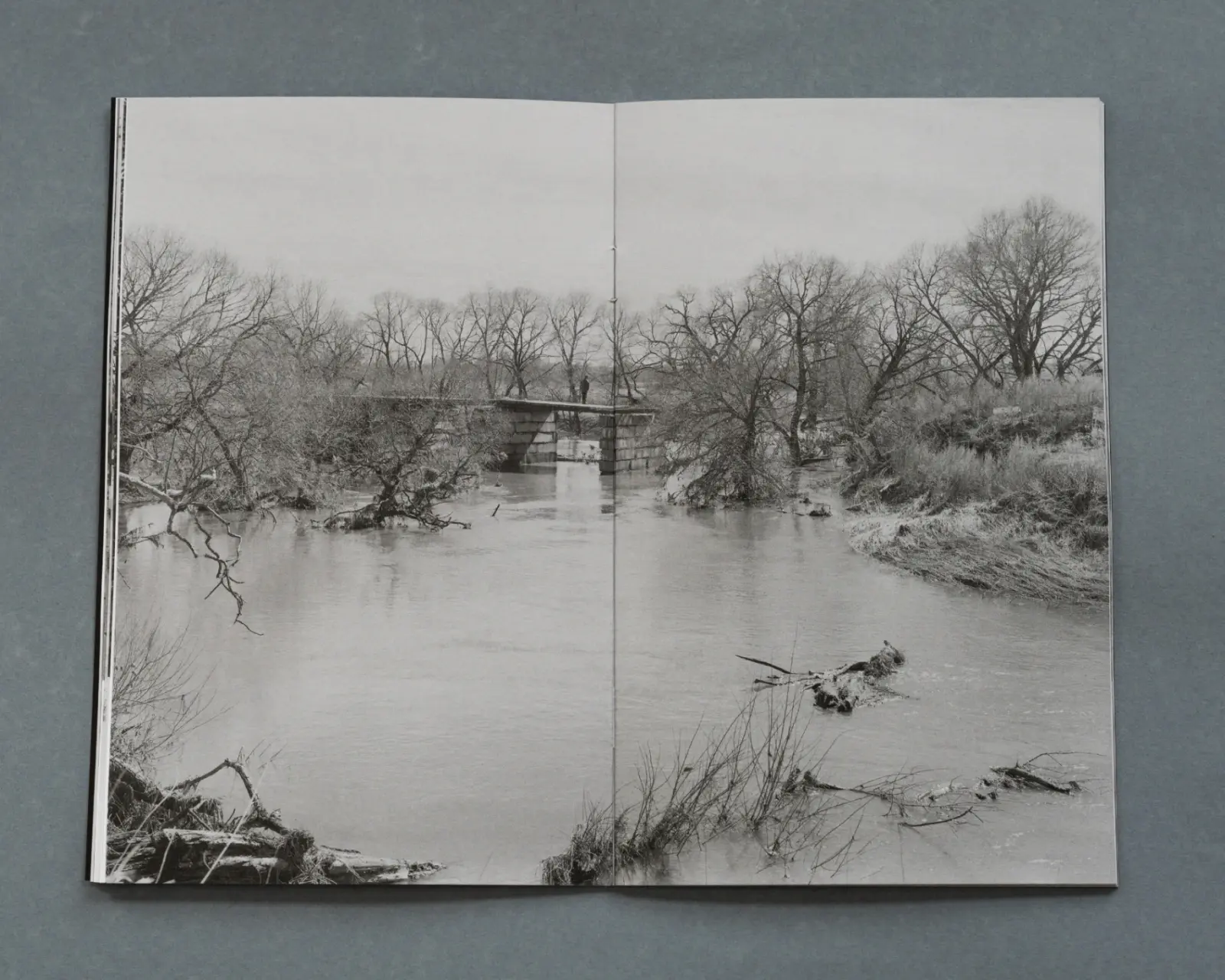 Bridges image 6
