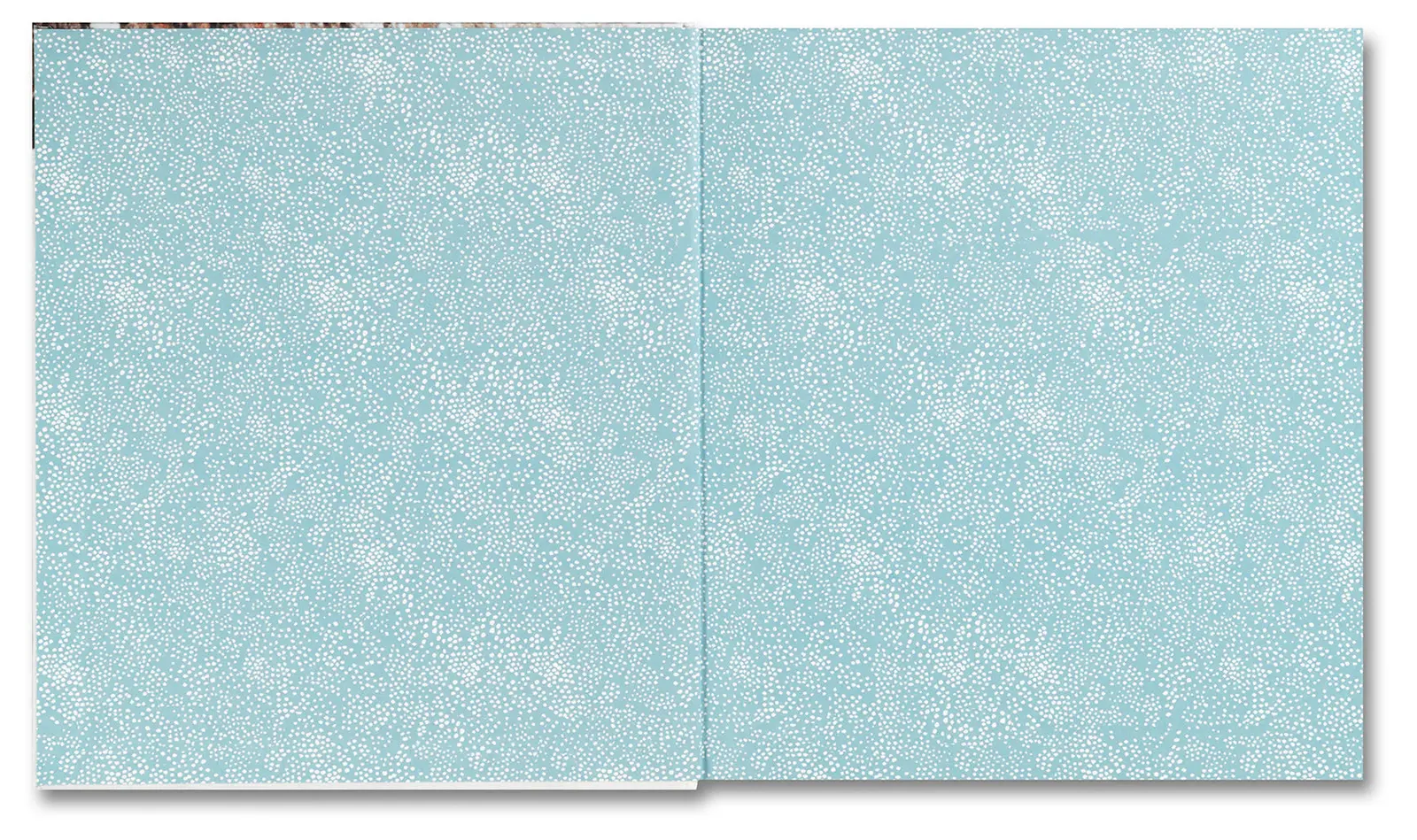 Snow image 2