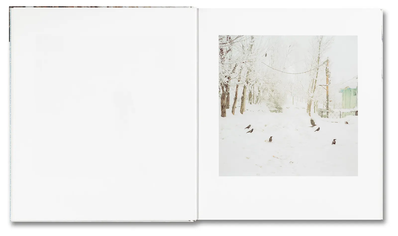 Snow image 6