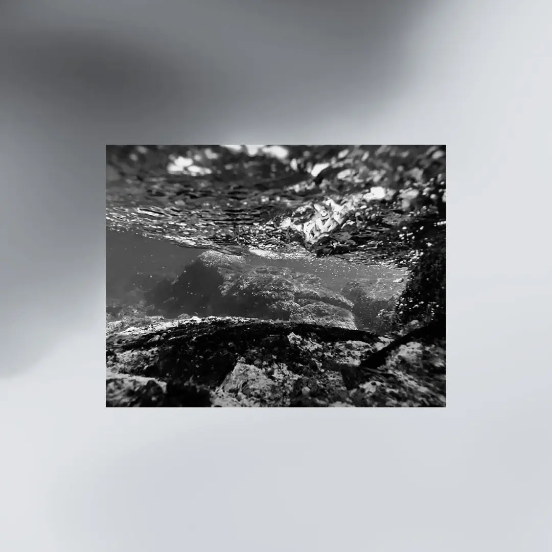 The Thread of Water: Ethnography, Photography, & Feminist Ecologies image 3