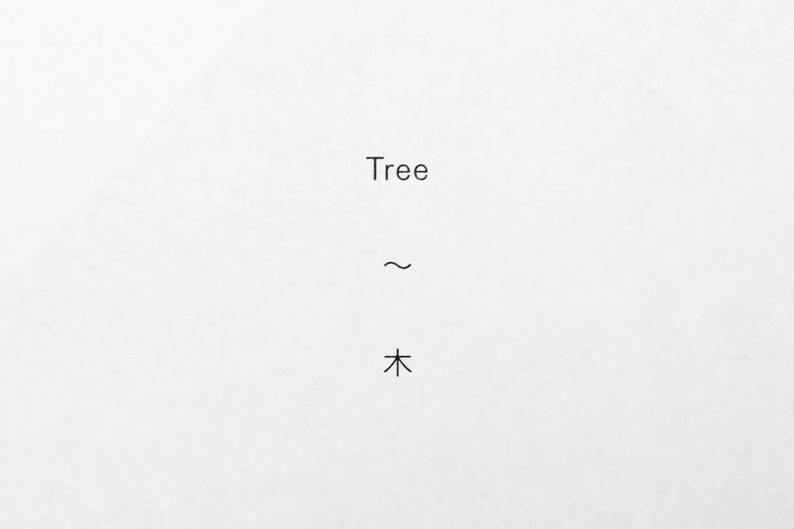 Tree Stone Water image 7