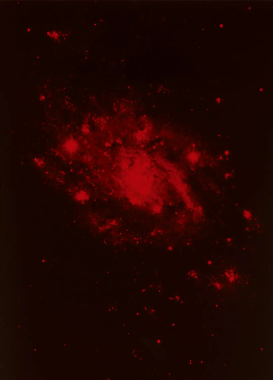 Heat image 2