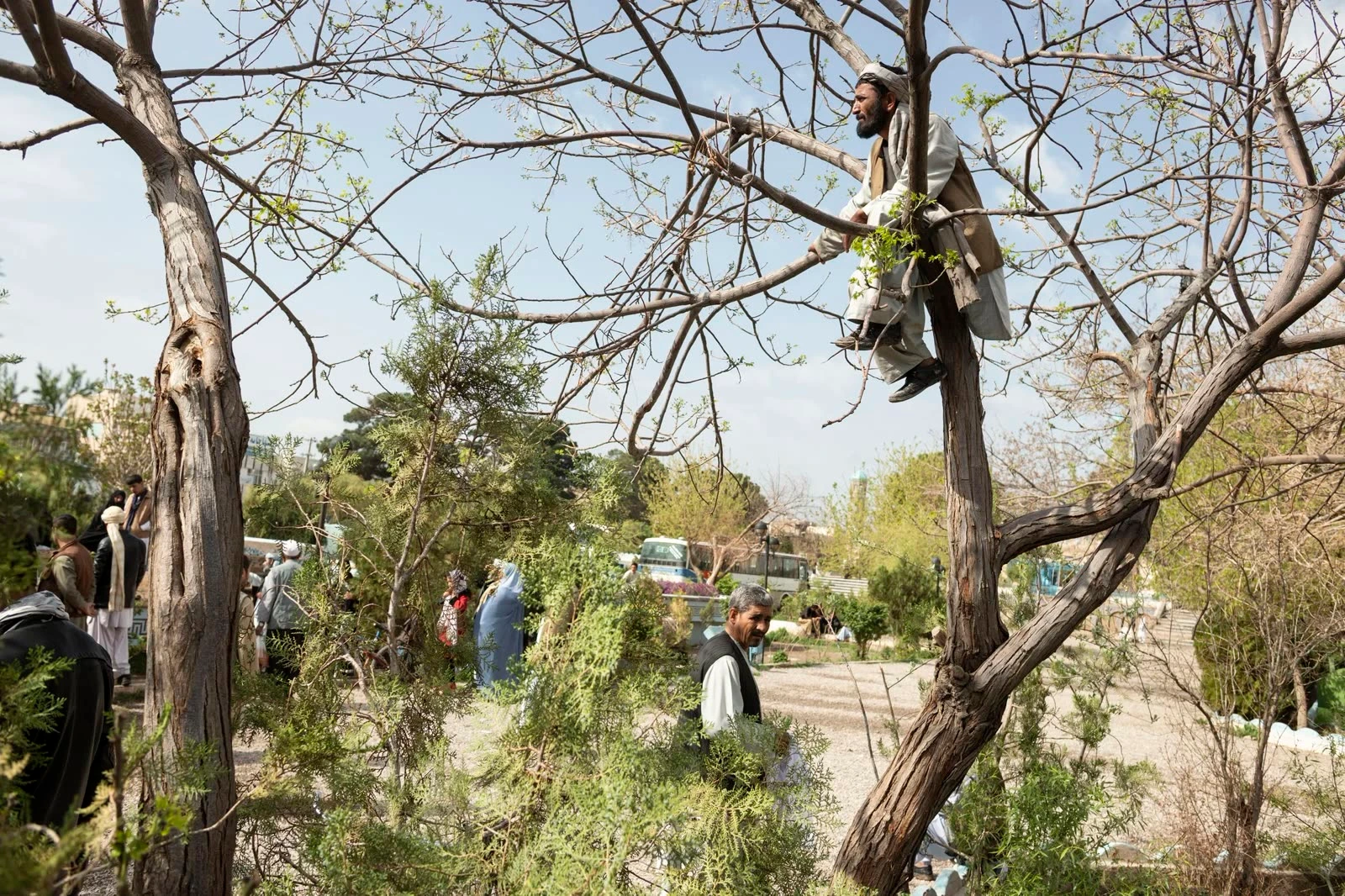 Afghanistanism image 6
