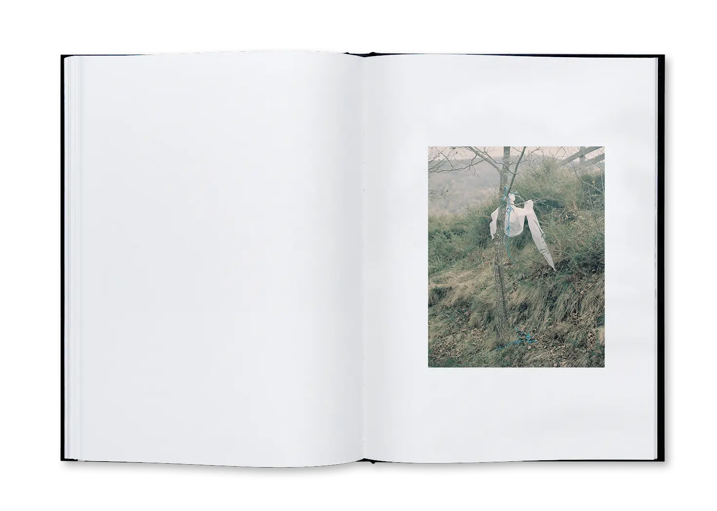 Noema image 5