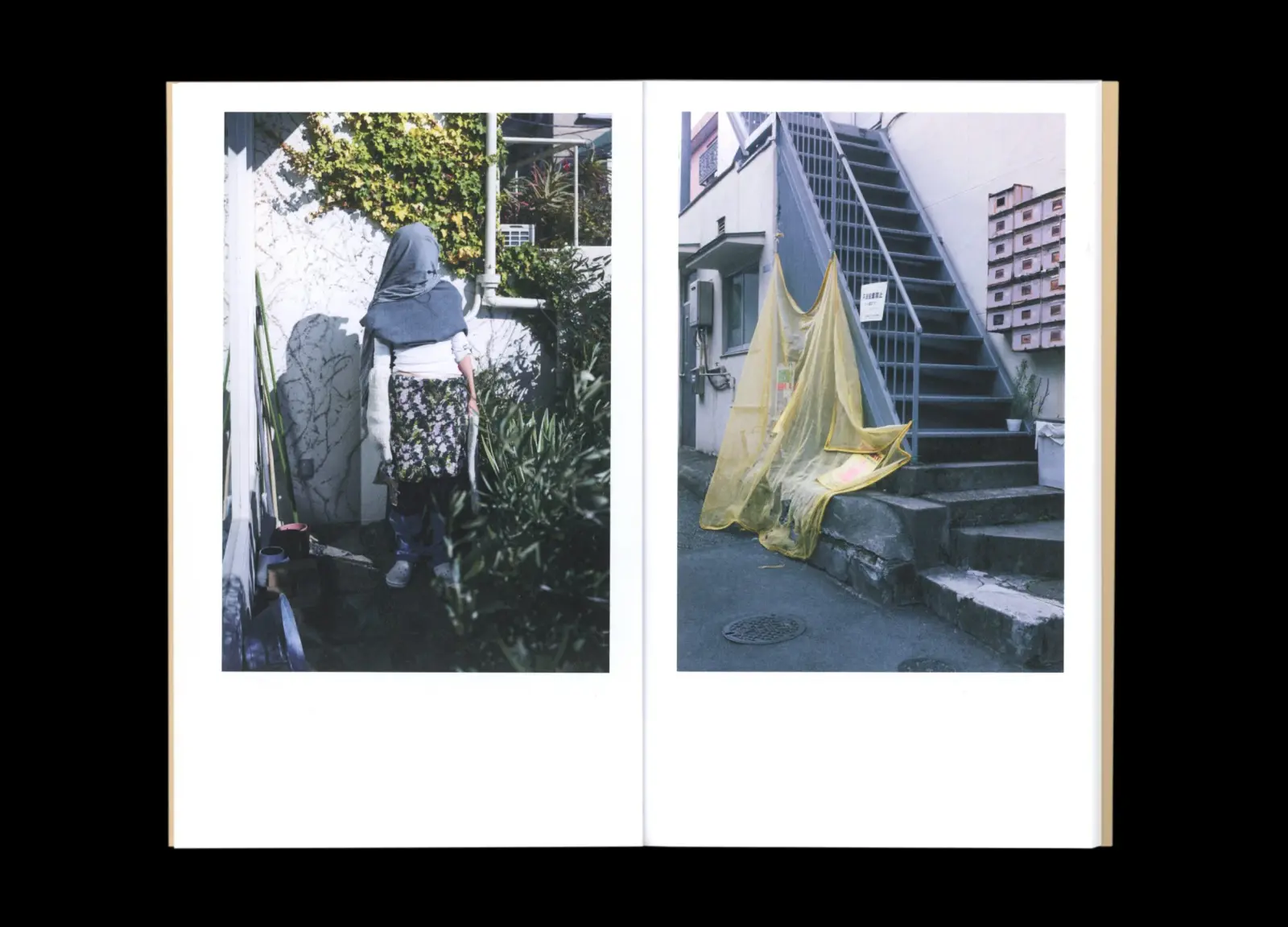 BTS image 10