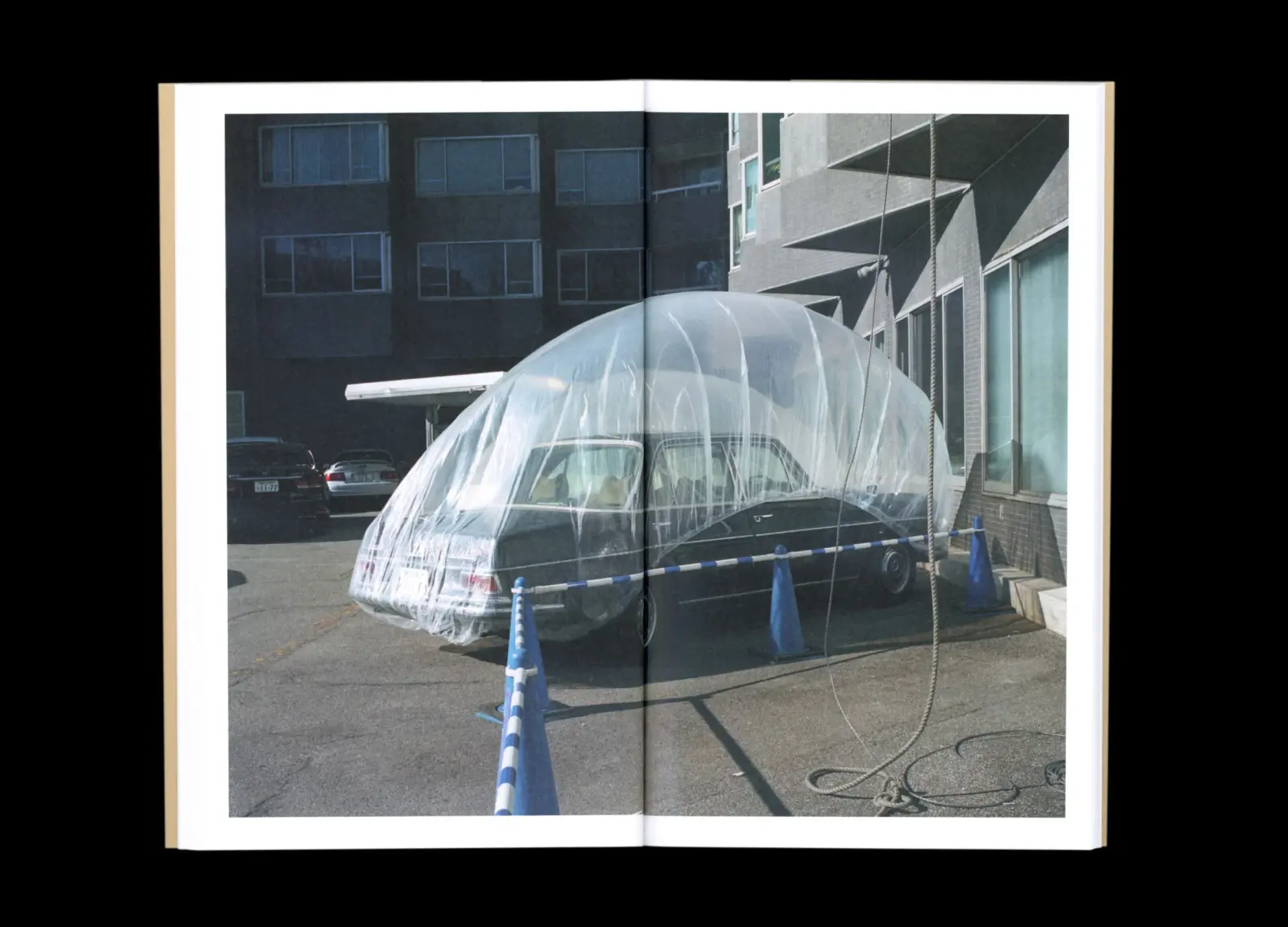 BTS image 11