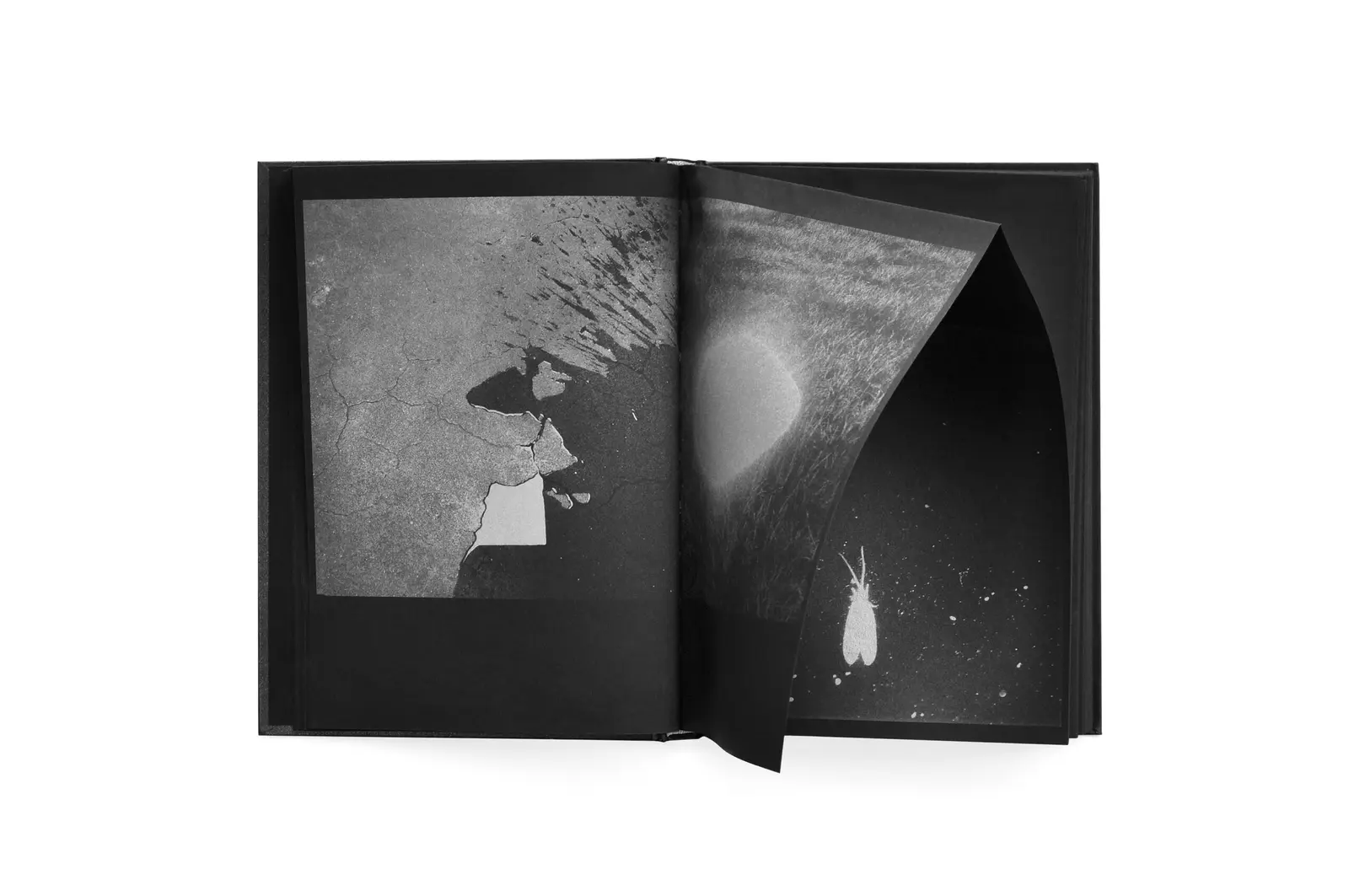 Astres Noirs image 4