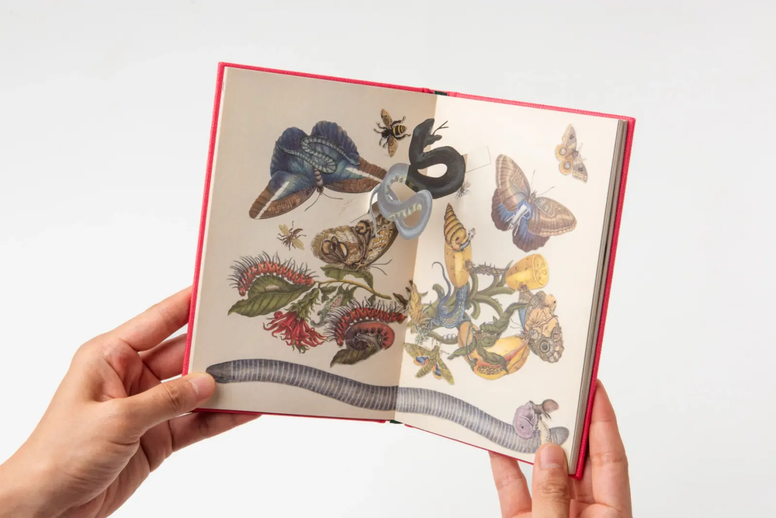 The Little Jungle Book image 4