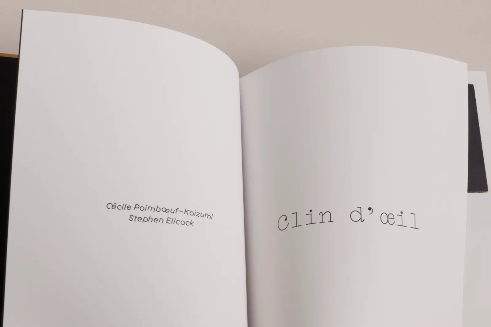 Clin d'œil image 2