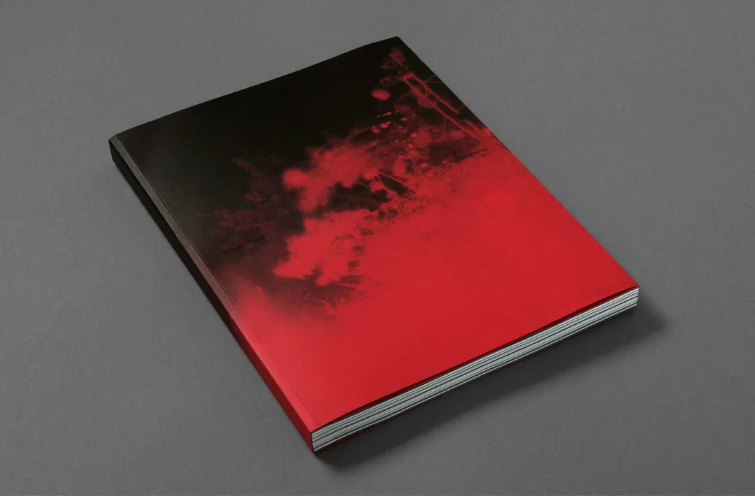 Broken Spectre image 2