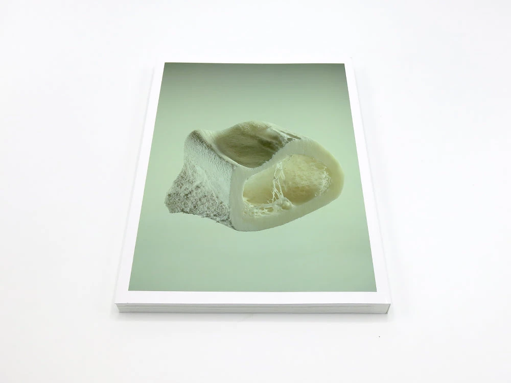 2, 3 image 1