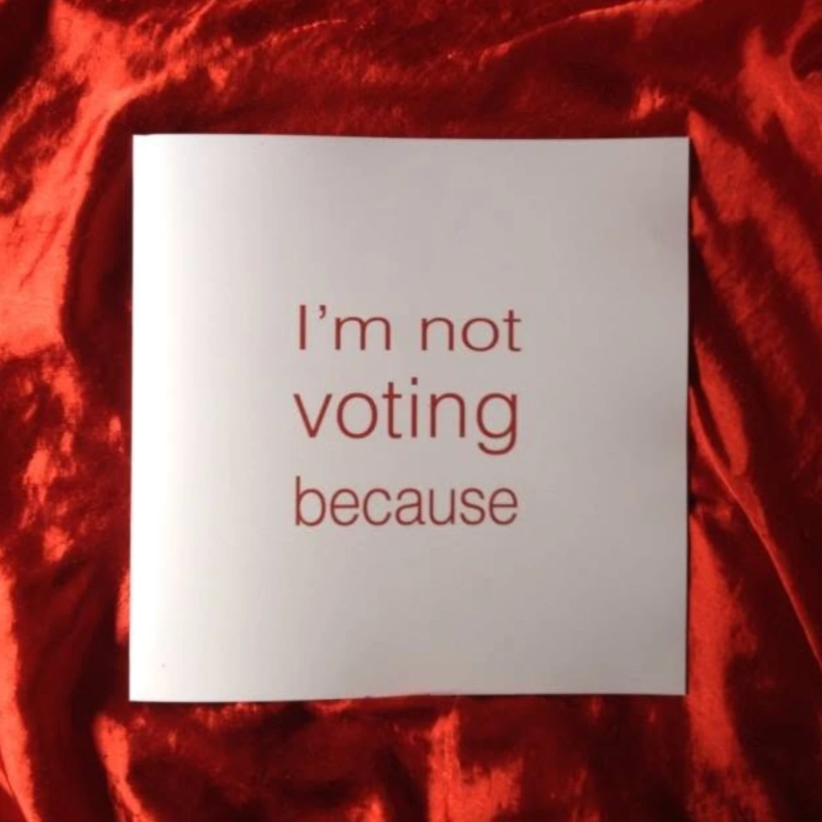 I'm Not Voting Because...