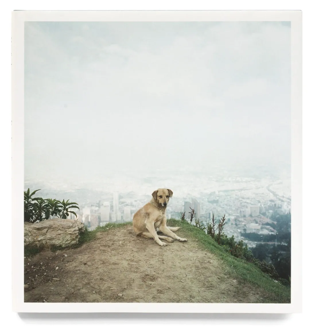 Dog Days, Bogotá