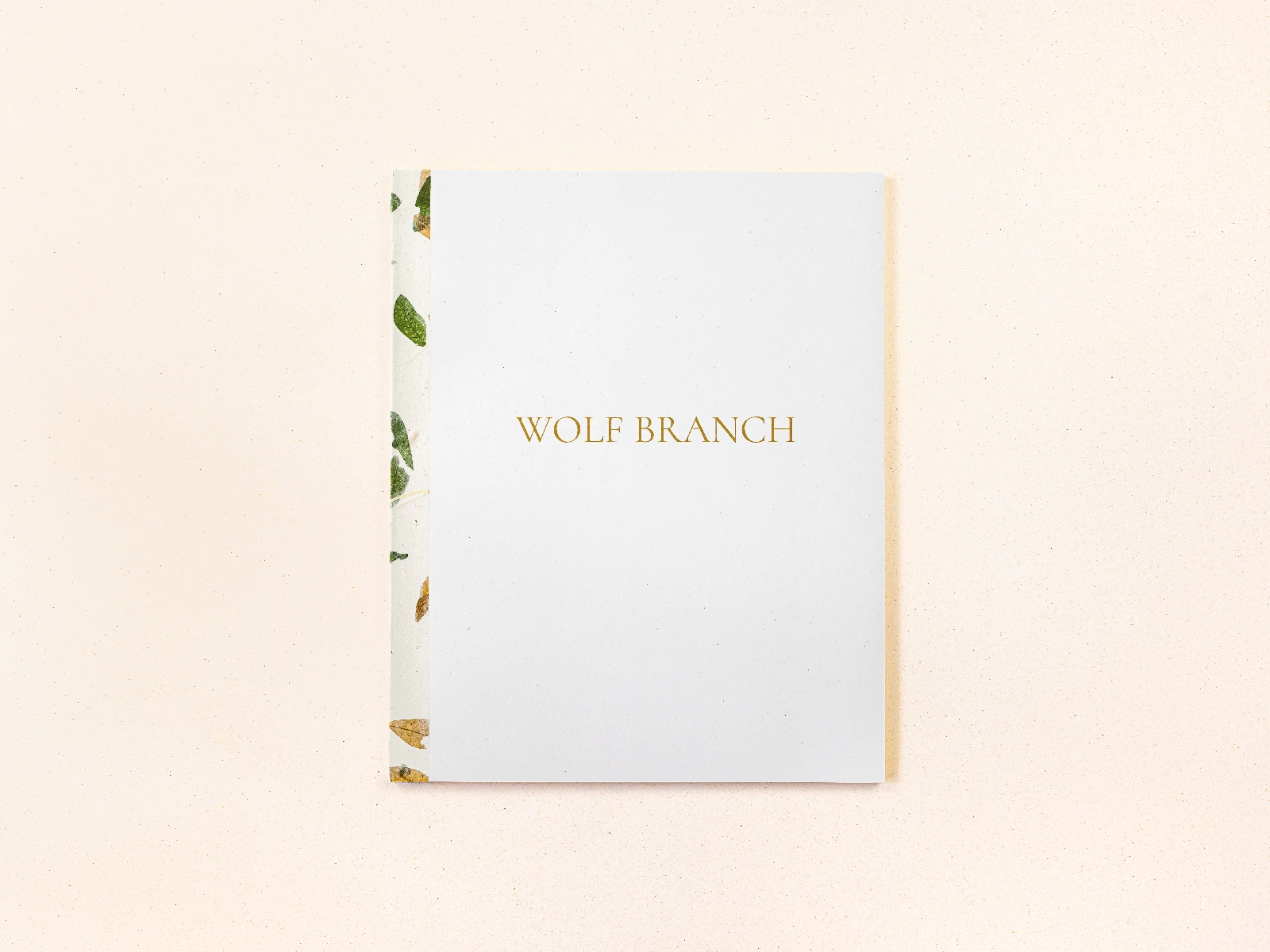 Wolf Branch