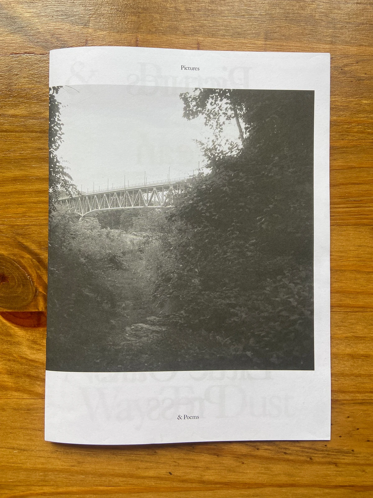 Pictures and Poems, No. 04: Way to Dust (Ocean Vuong) image 1