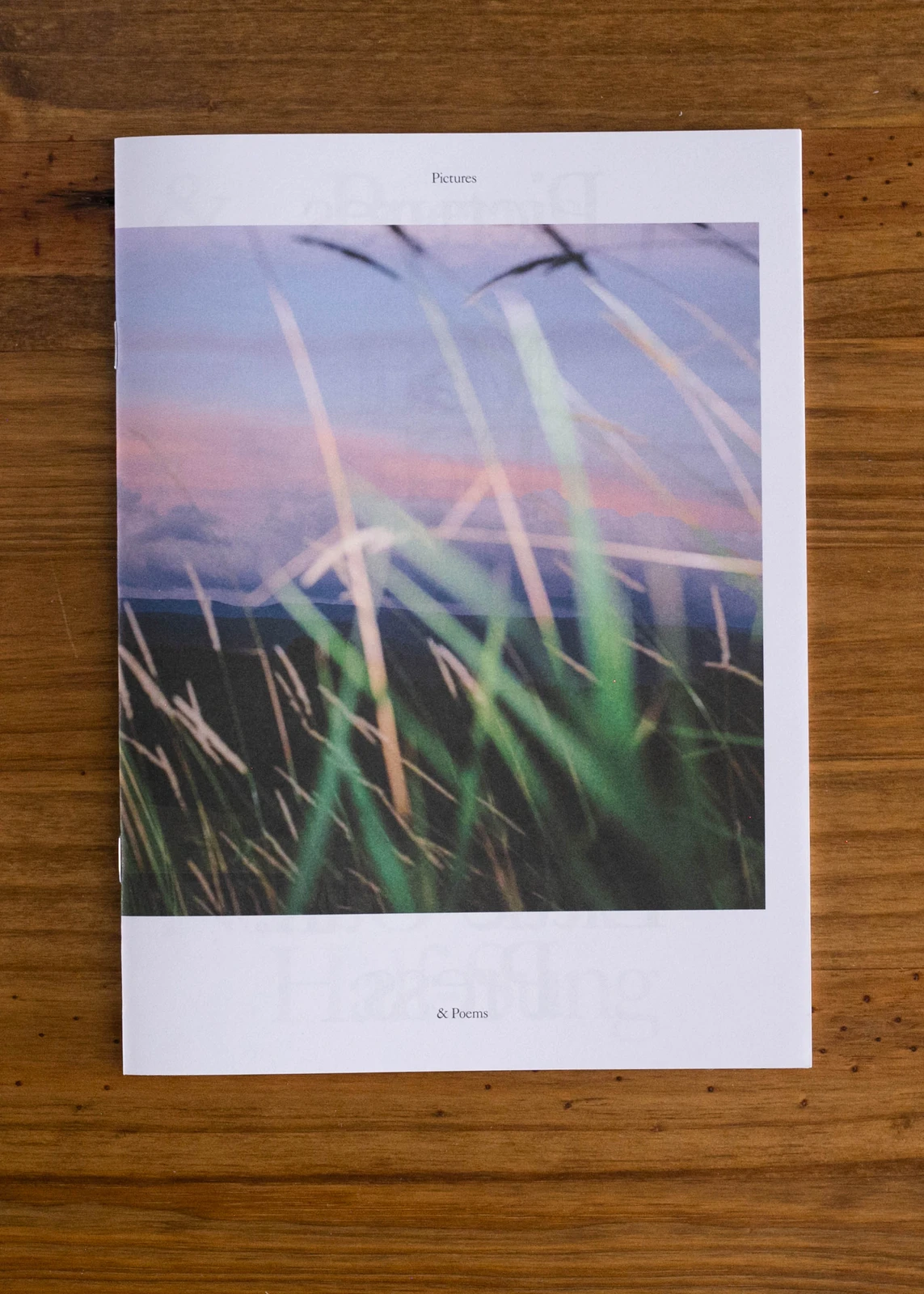 Pictures & Poems, No. 1: Half-Sung (Matt Eich & Doug Van Gundy)