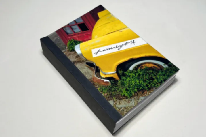 Passerby 14