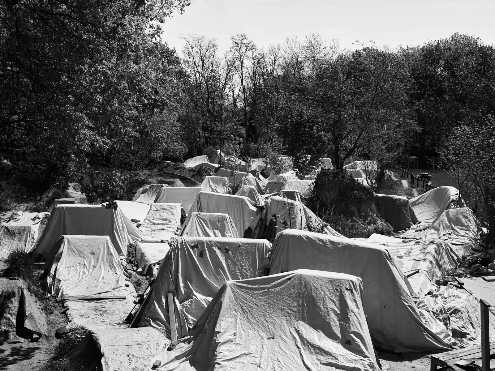 people things 8
