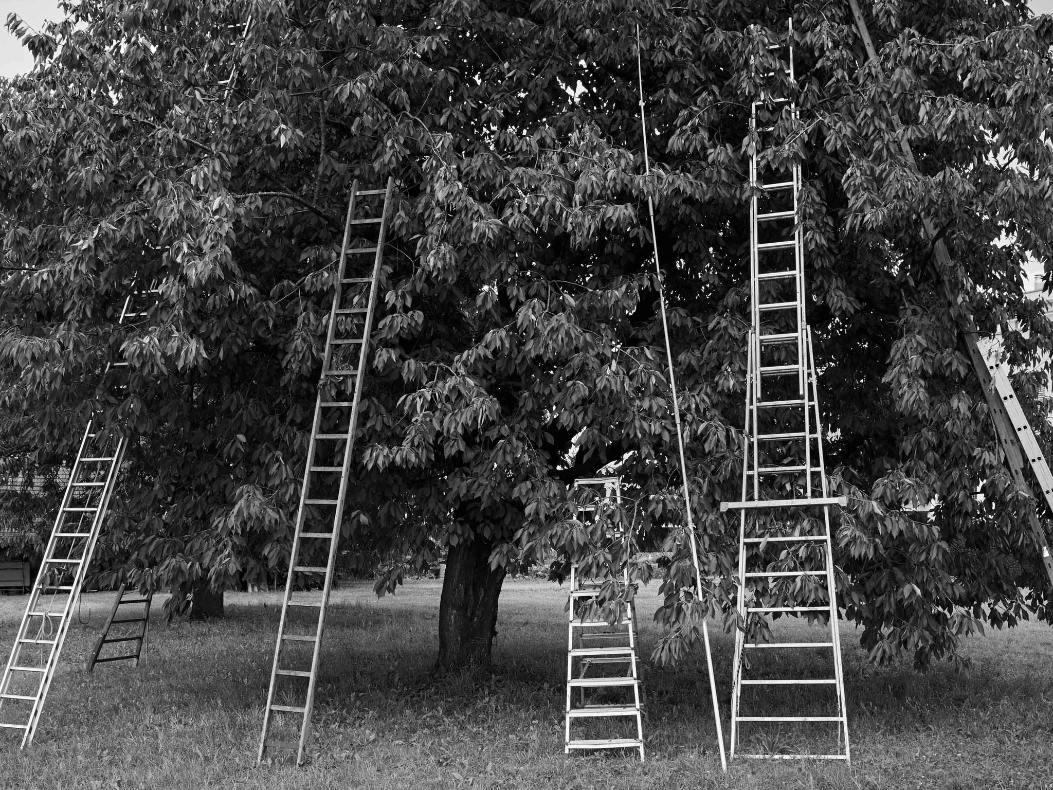 people things 5