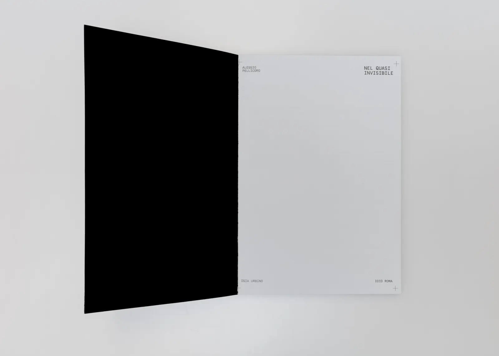 Nel Quasi Invisibile image 3
