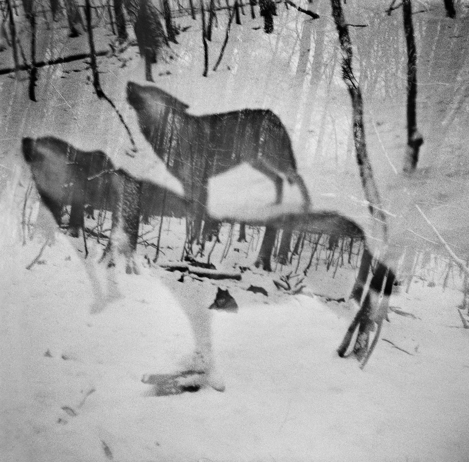 Vanishing image 2