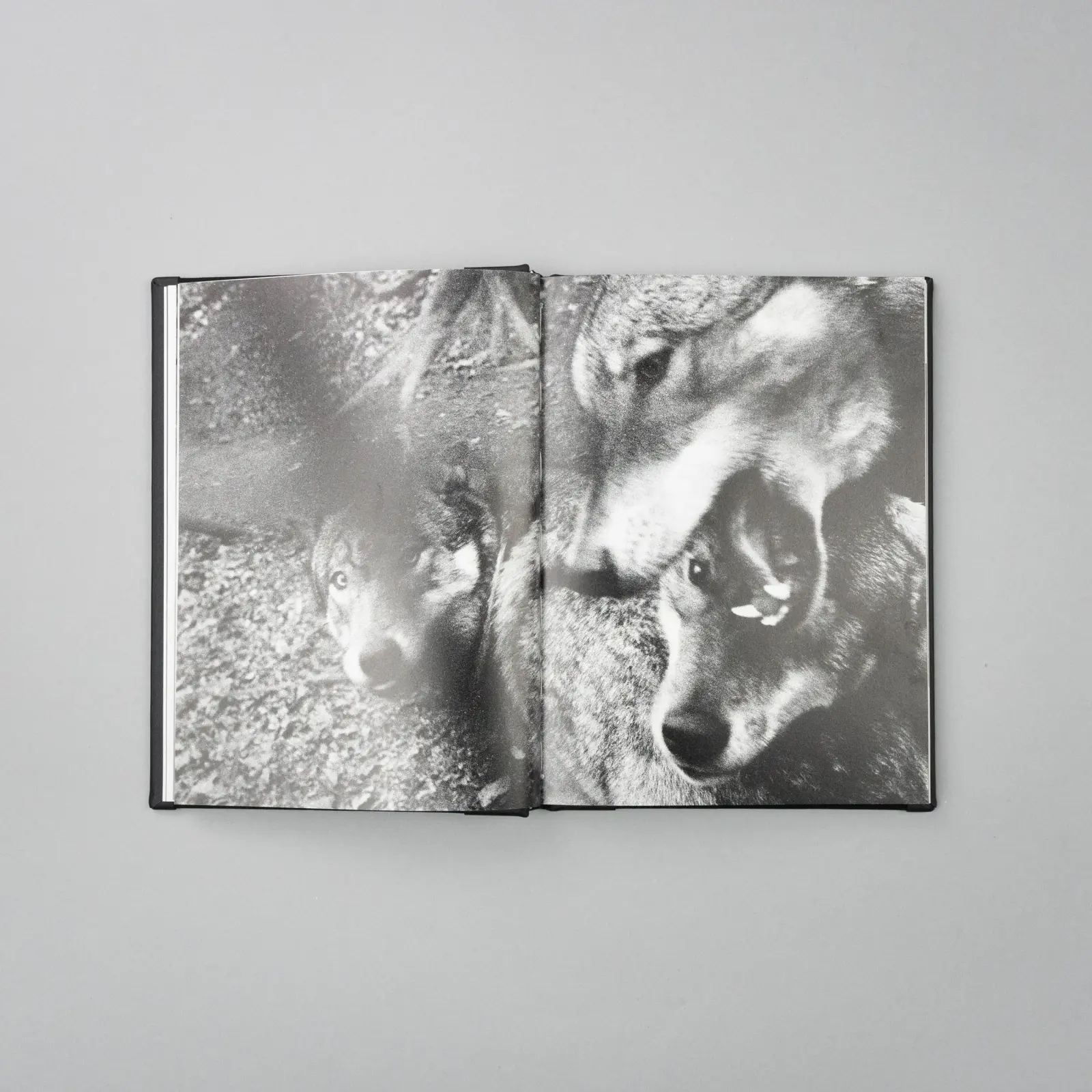 Vanishing image 4