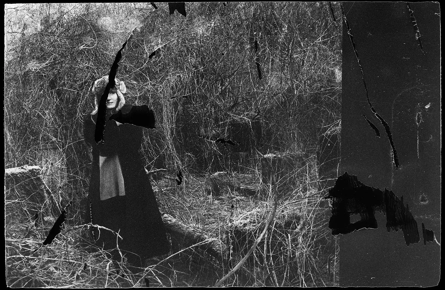 Vanishing image 5