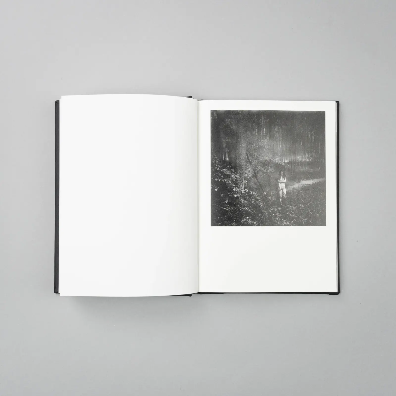 Vanishing image 7
