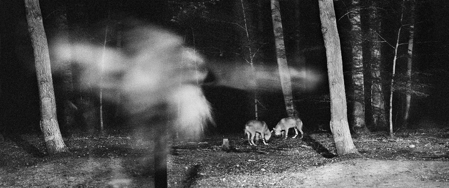 Vanishing image 9
