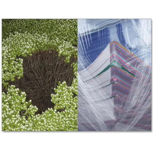 Spark image 2