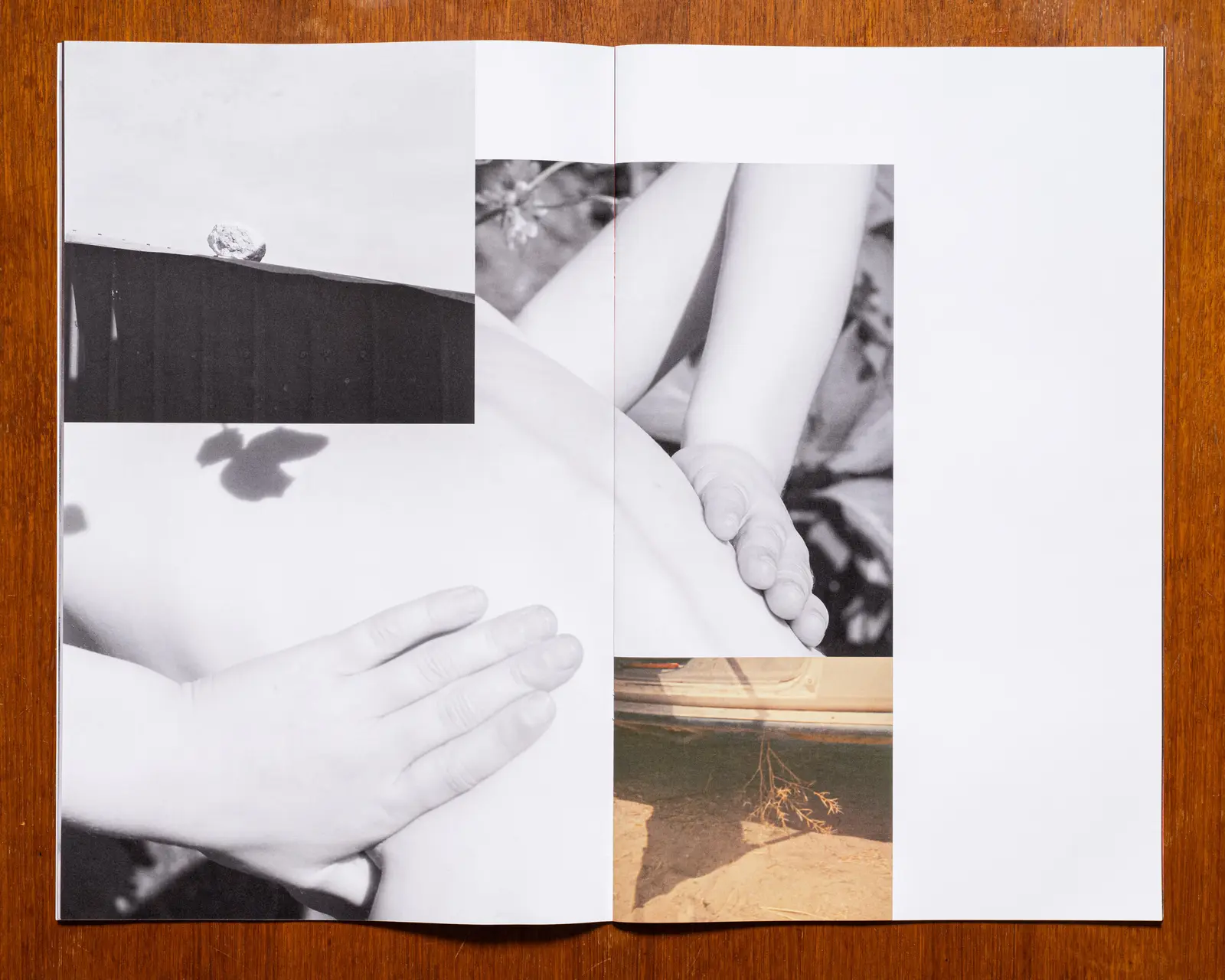 SOLACE image 6