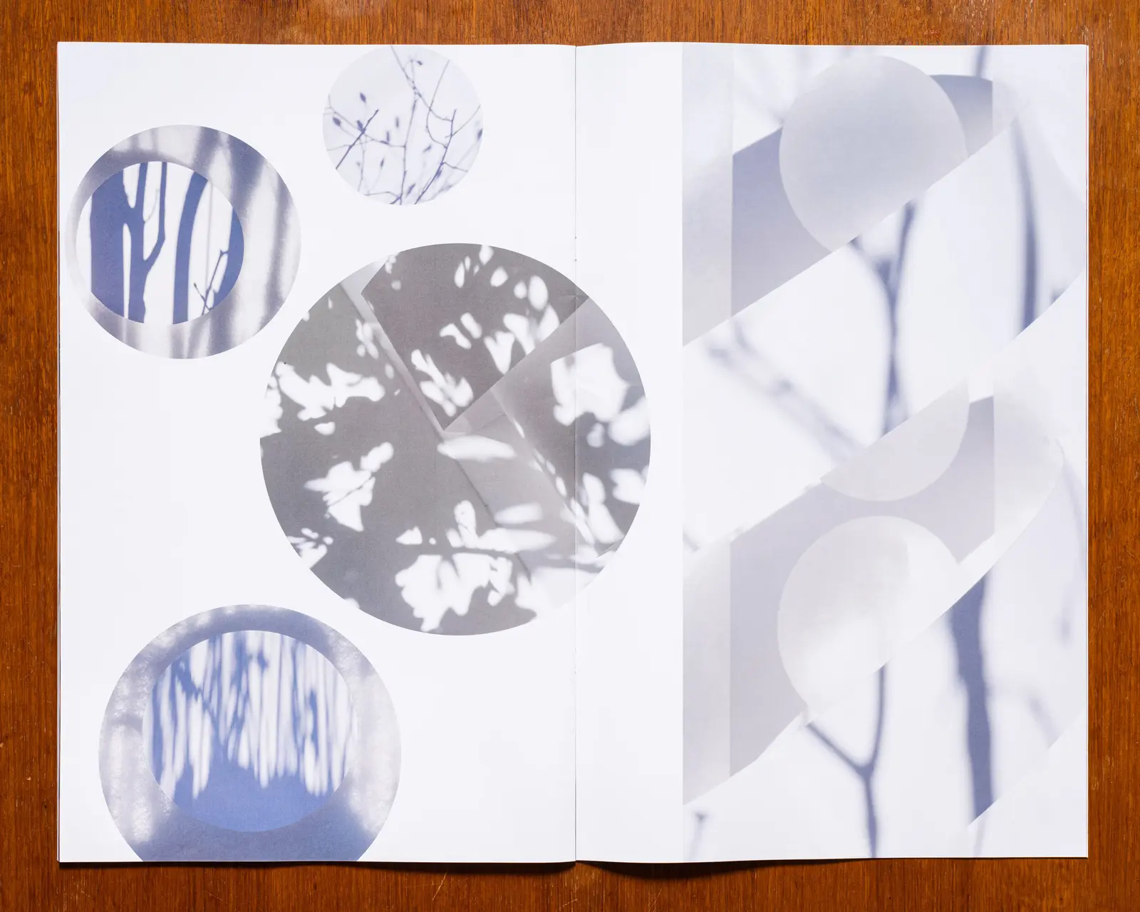 SOLACE image 11