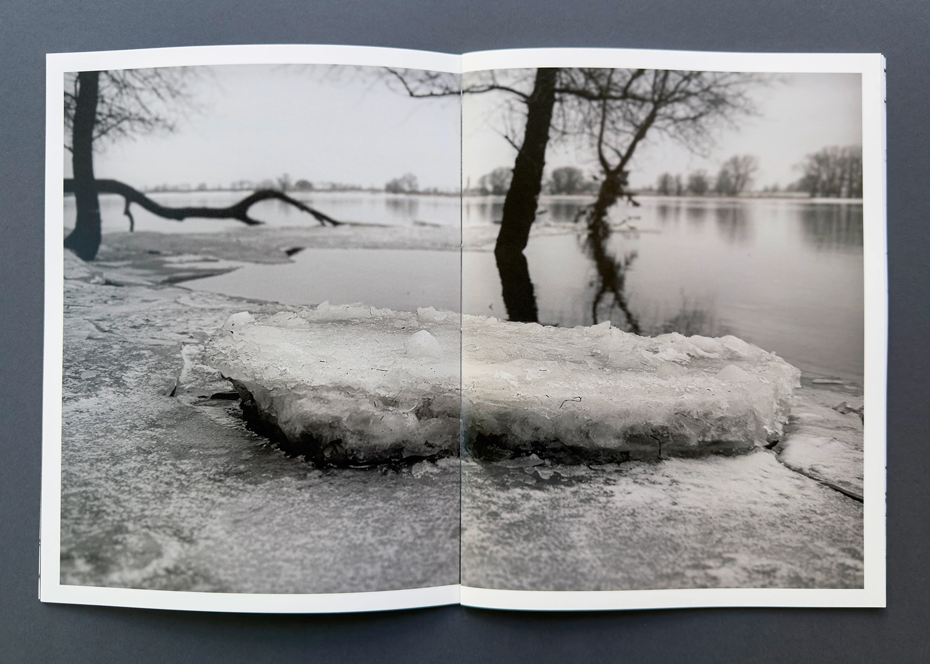 status_04 winterland image 3
