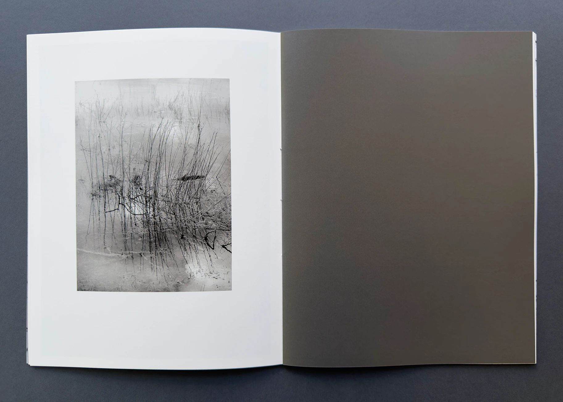 status_04 winterland image 4