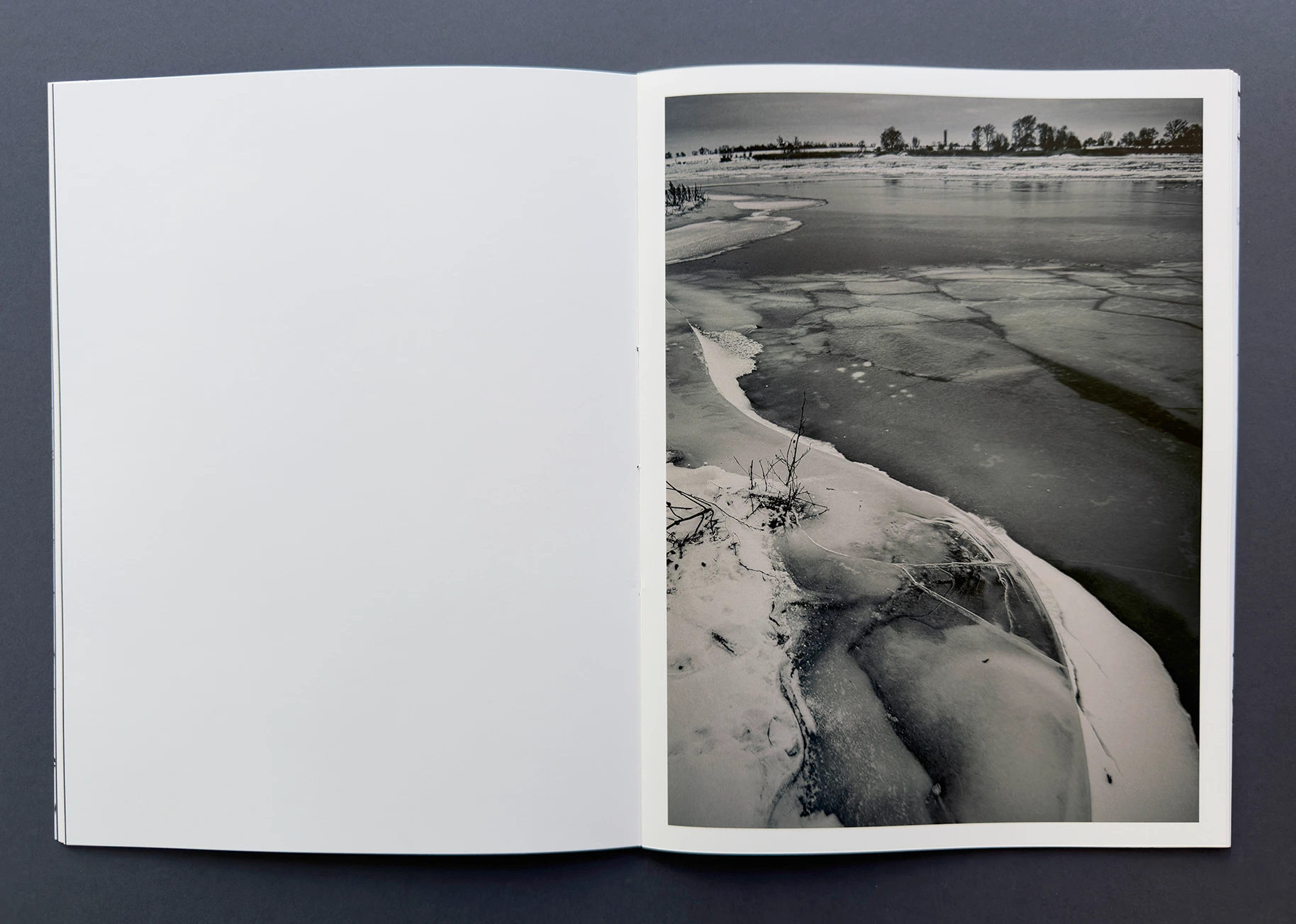 status_04 winterland image 5