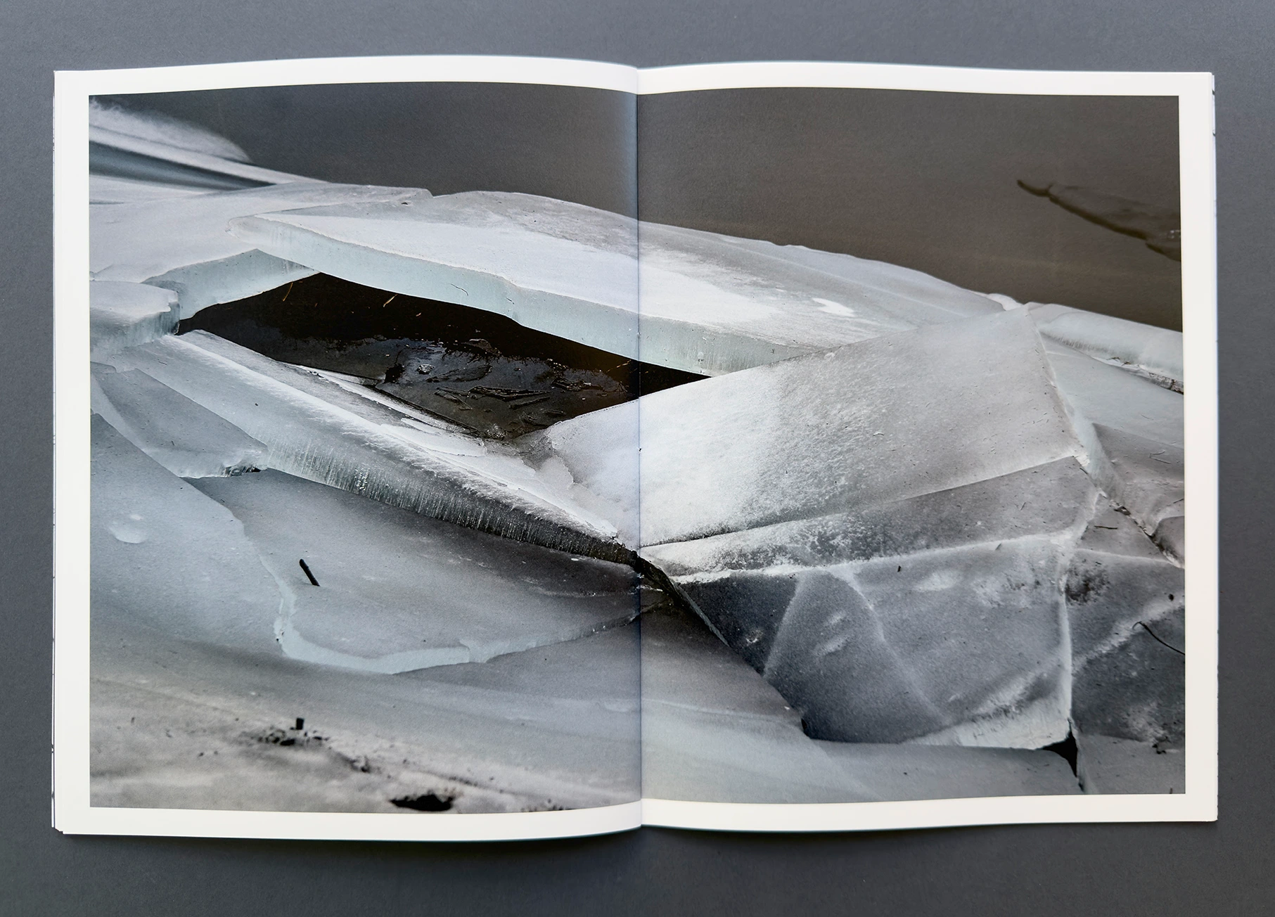 status_04 winterland image 7