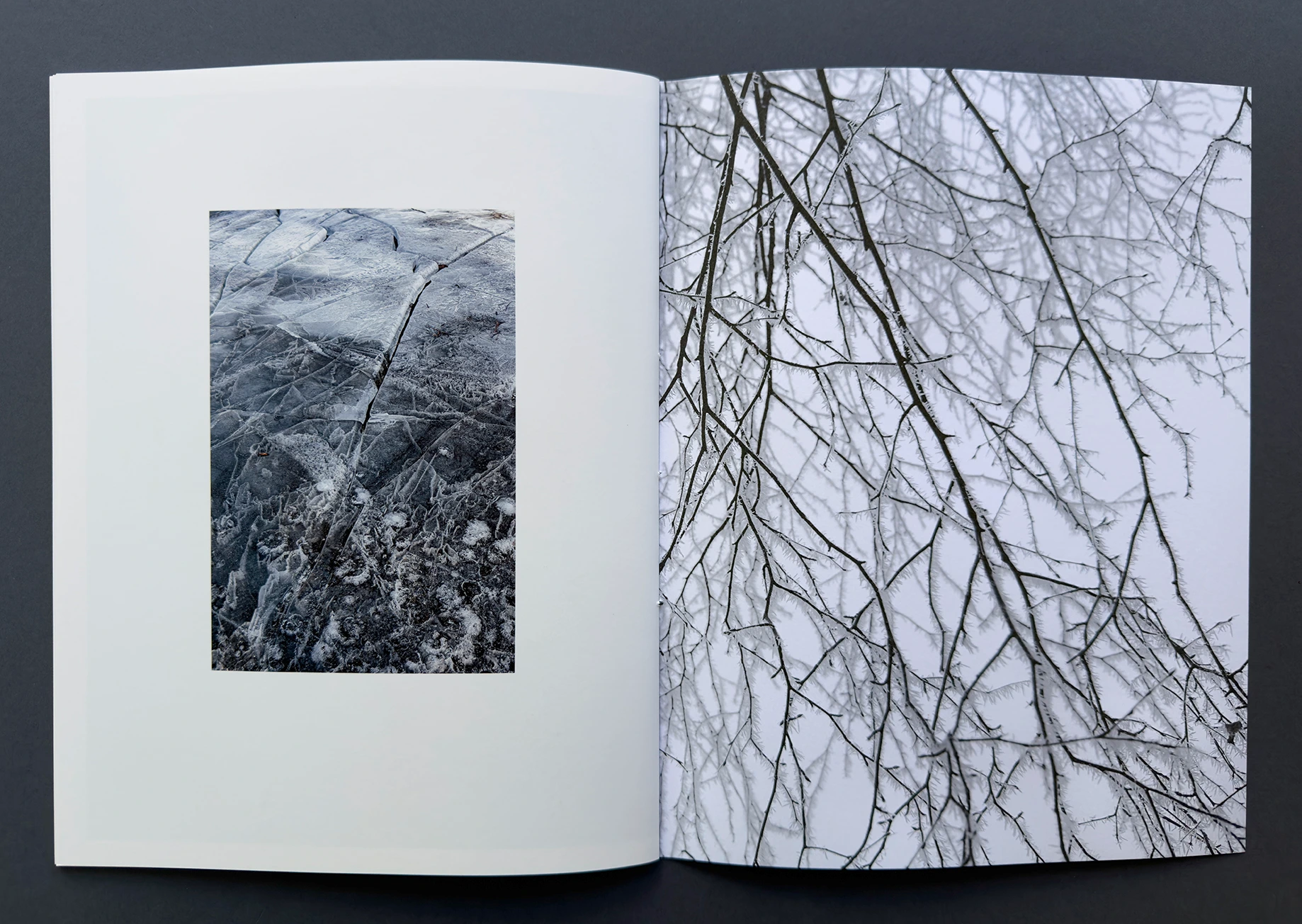 status_04 winterland image 9