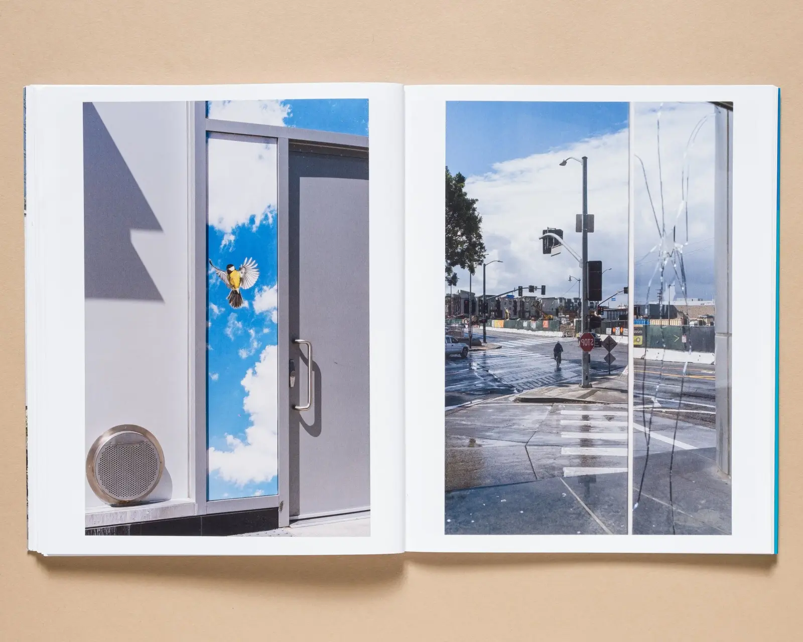Los Angeles Without Boundaries image 8