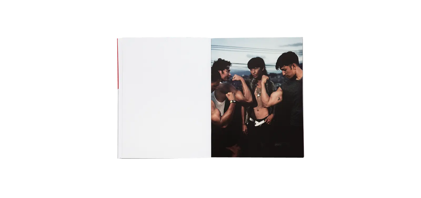 Loose Fist image 5
