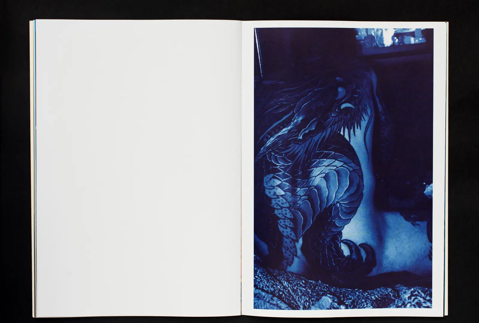 Dragon Blue image 8