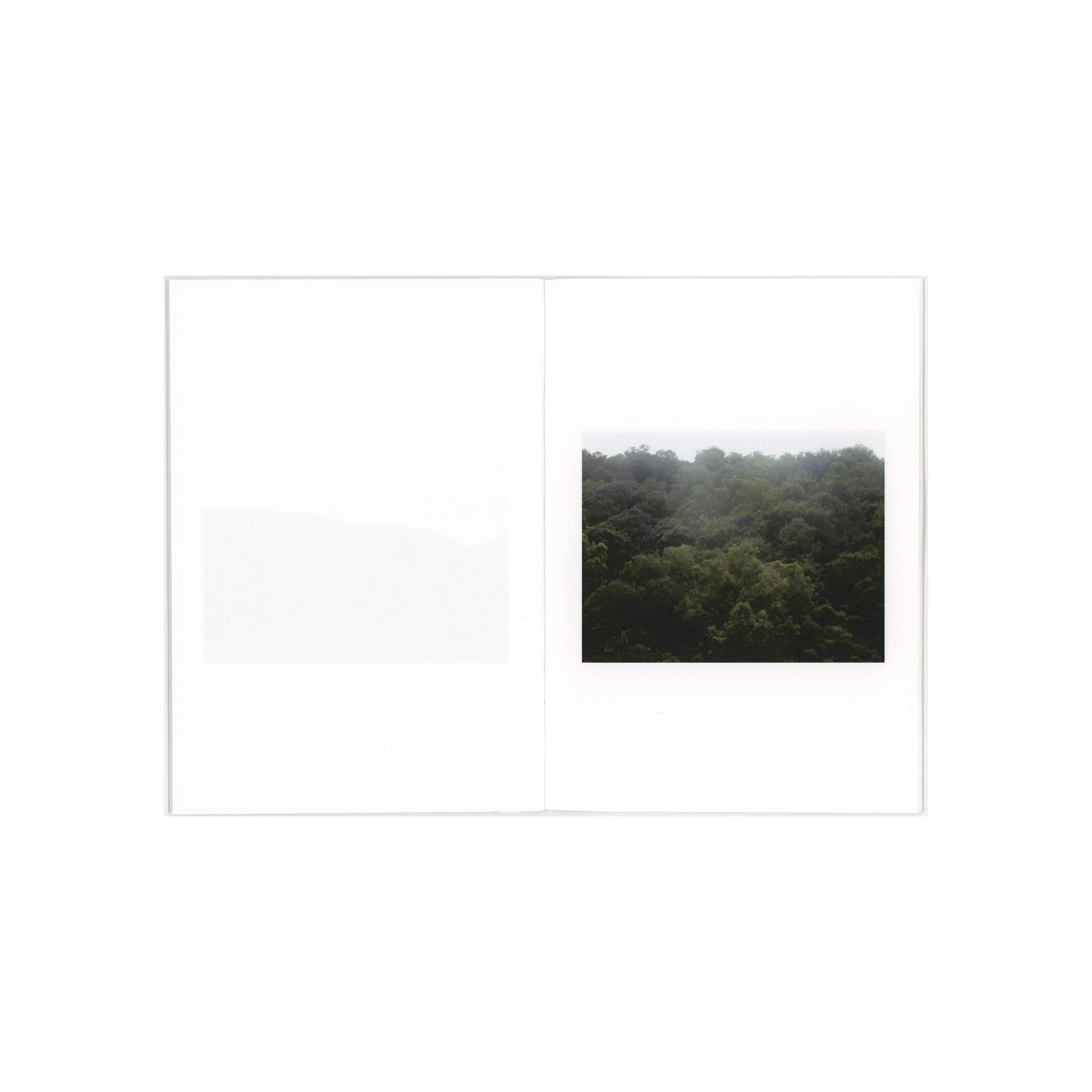 Guard Rails & Runaway Ramps image 4