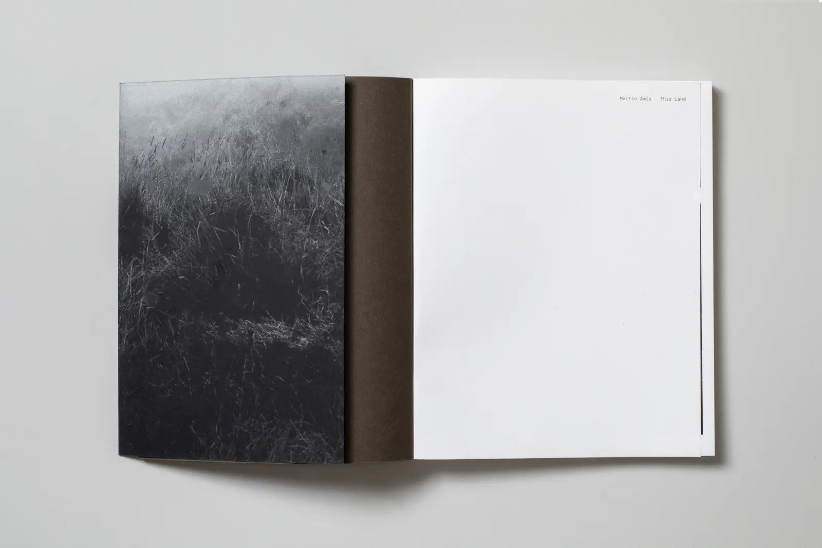 This Land image 2