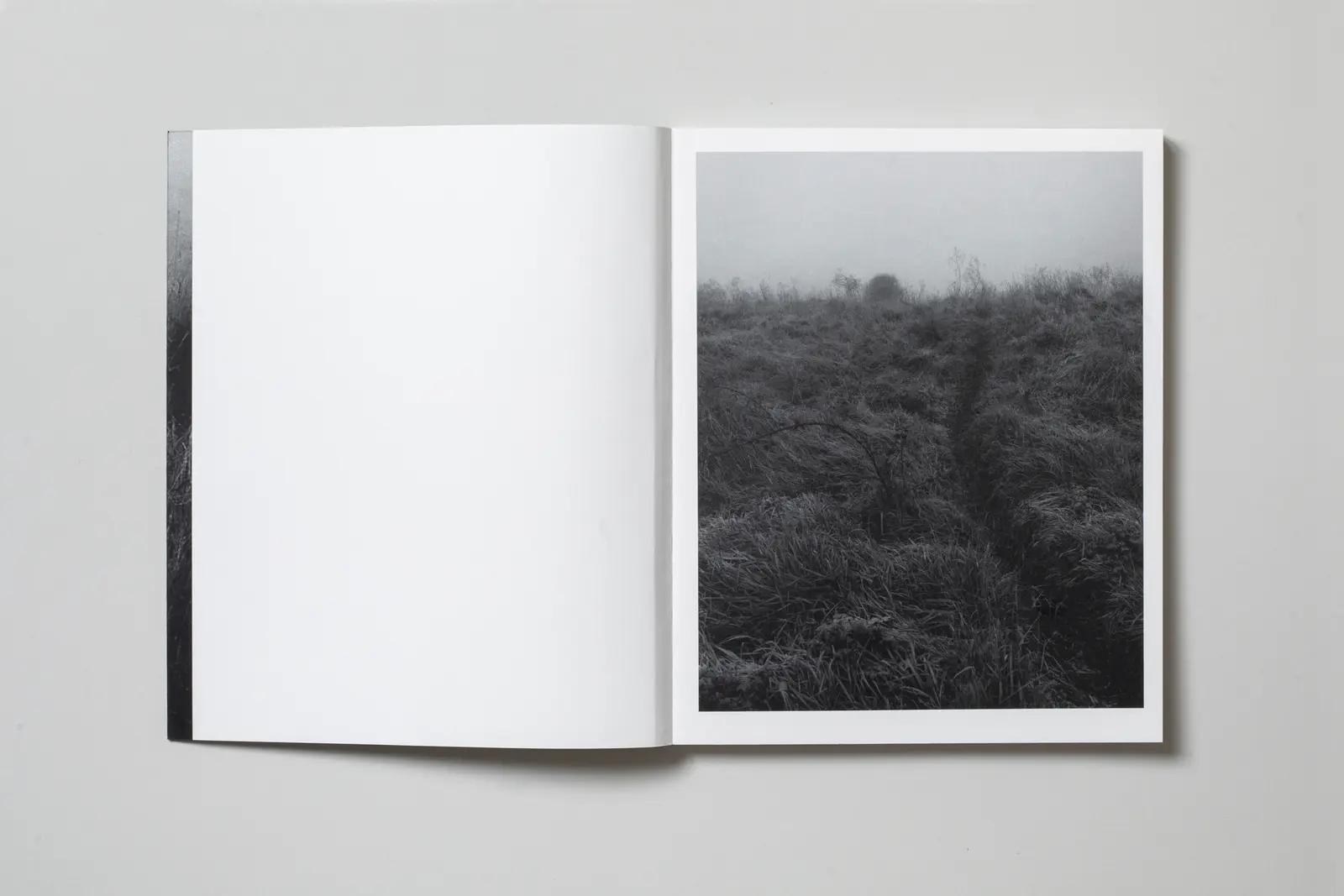 This Land image 3