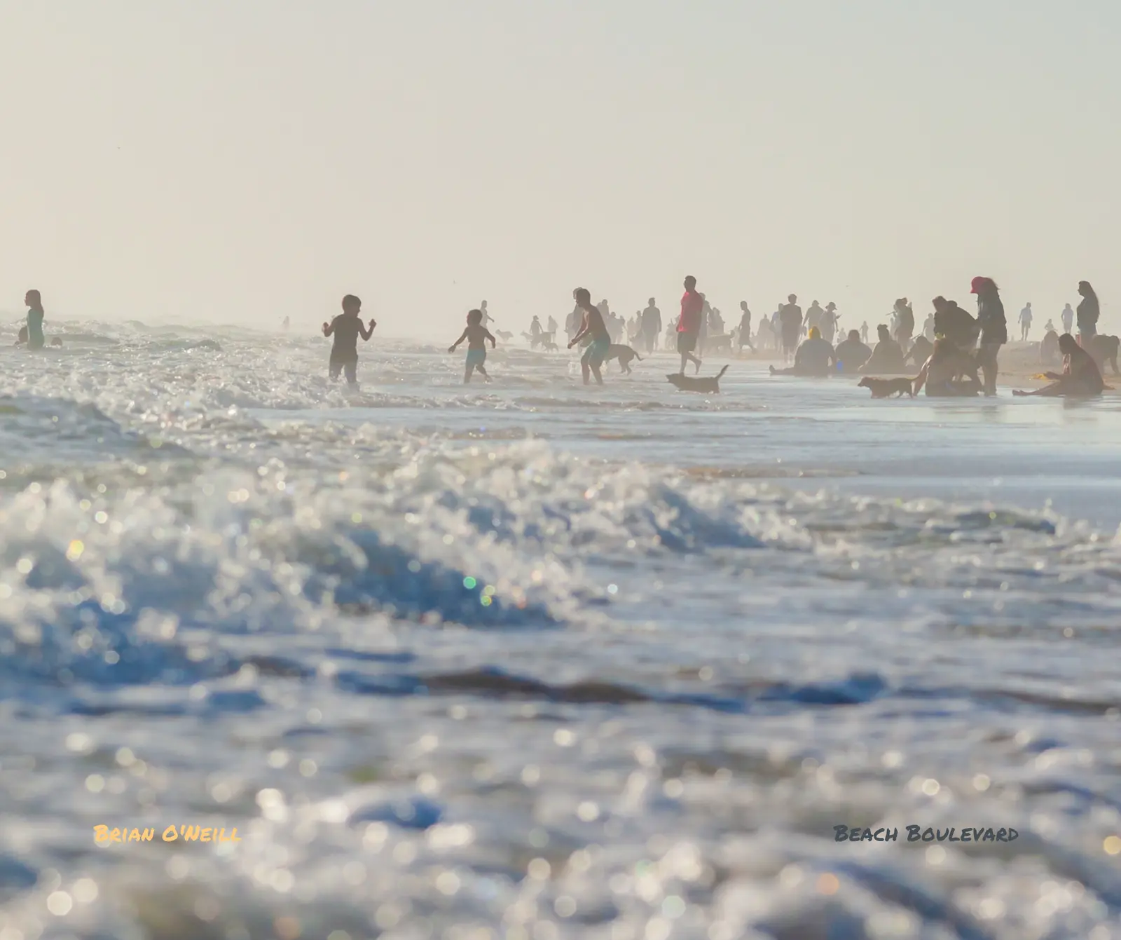 Beach Boulevard image 8