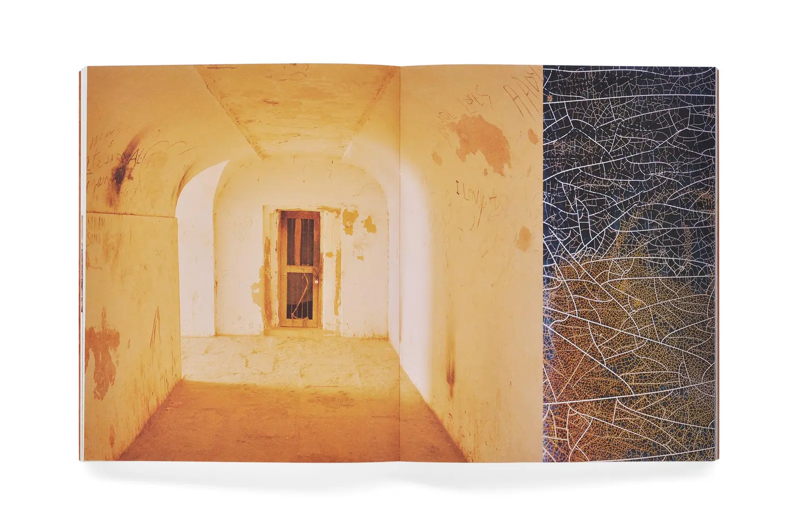 Exile image 9