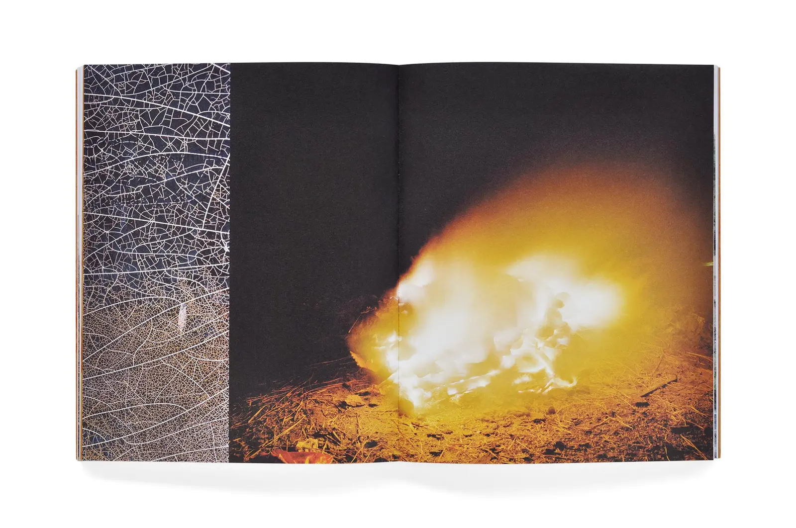 Exile image 10
