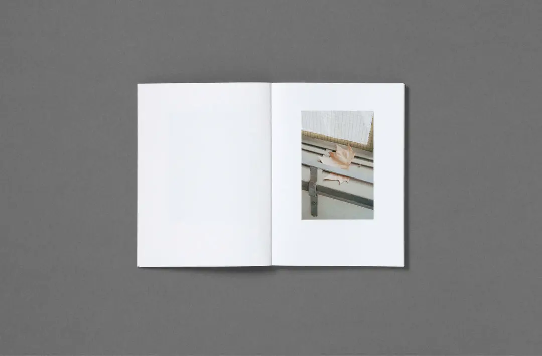 Notwithstanding image 10