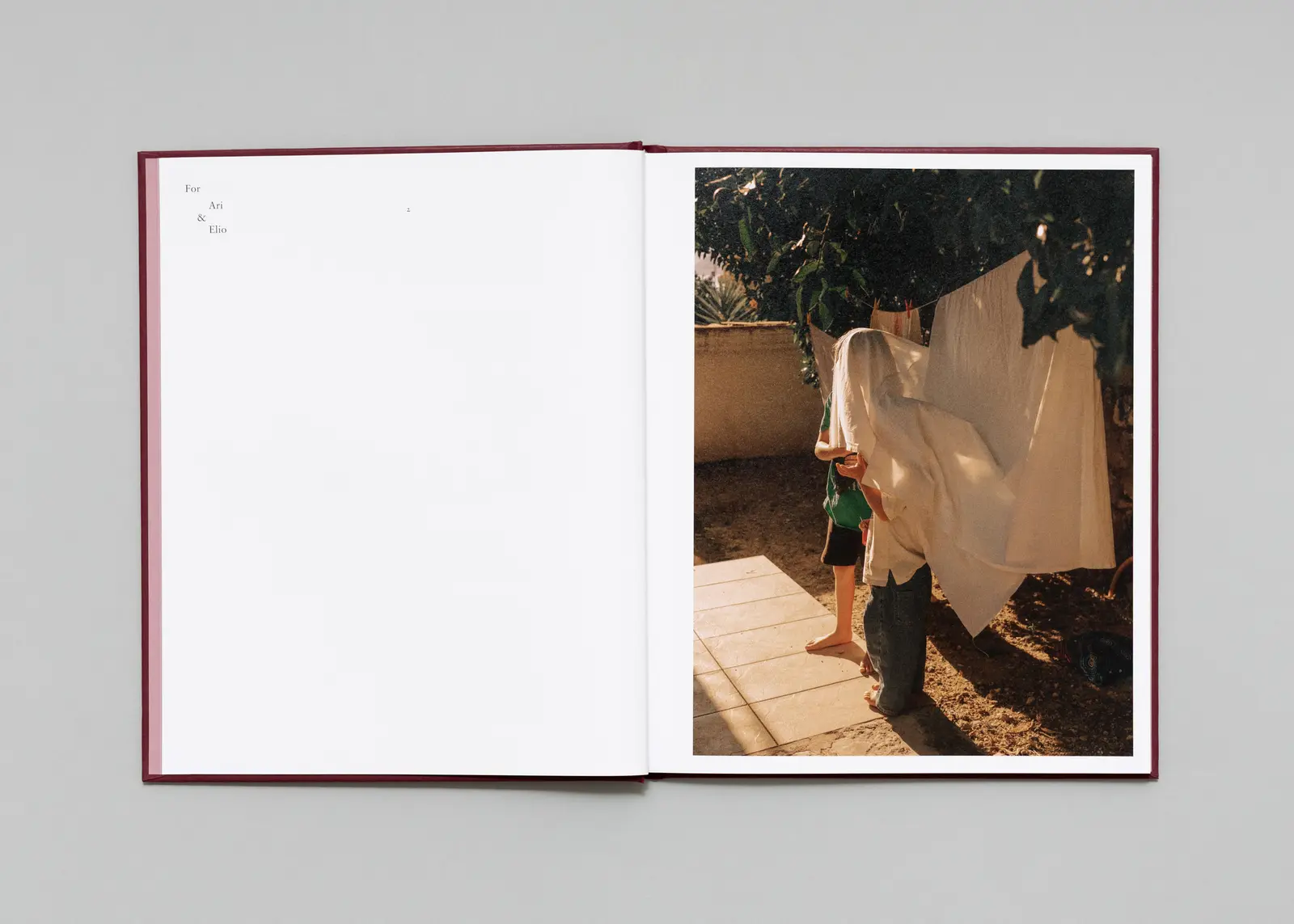 In-Passing image 2